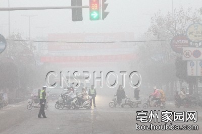 120110027c_2.jpg