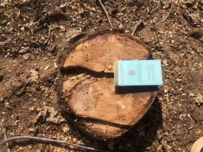 1681374131839.jpg