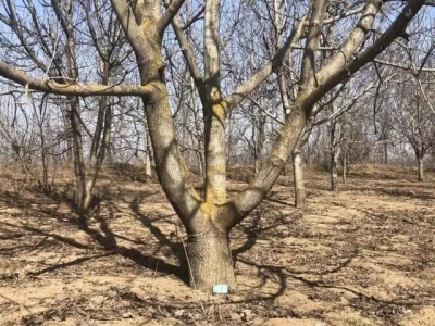 1681374131983.jpg